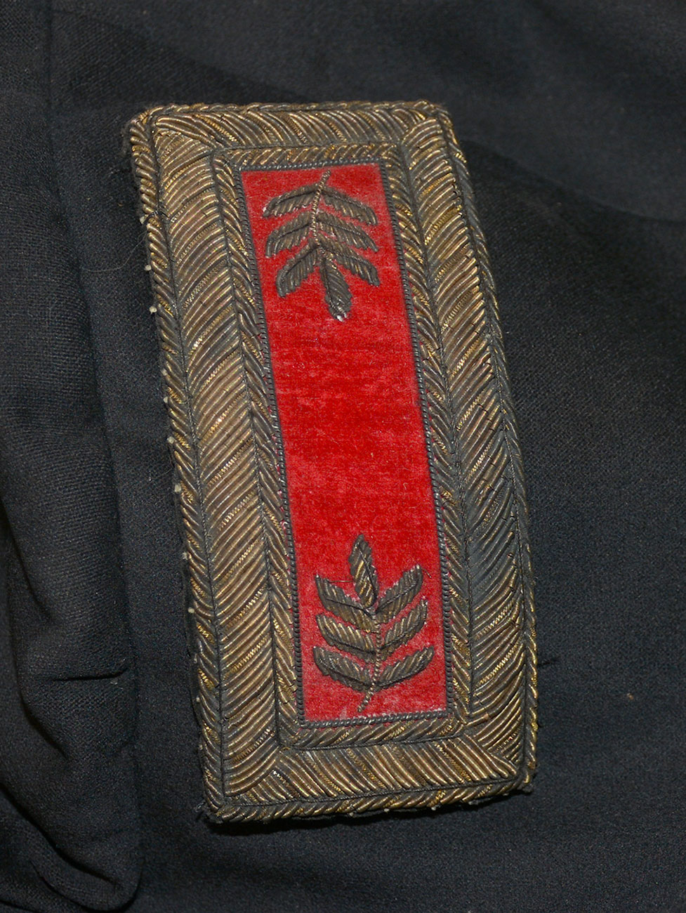 Image 12