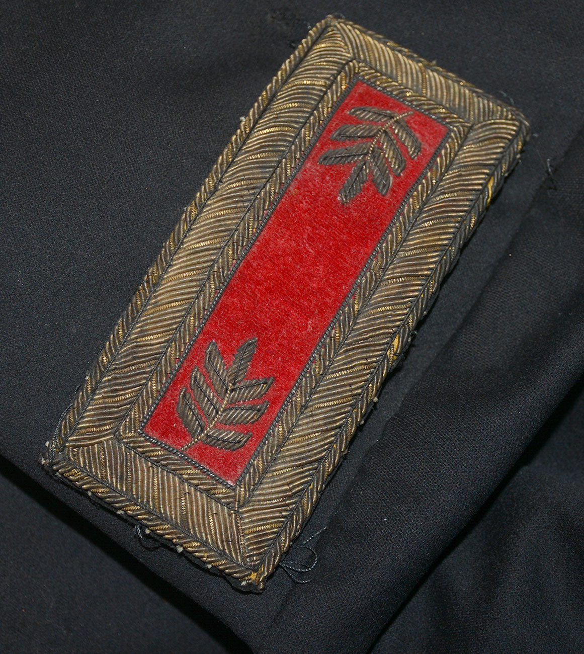 Image 13