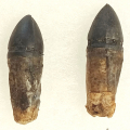 .44 CALIBER PAPER CARTRIDGES FOR COLT, REMINGTON, & OTHER “ARMY” REVOLVERS