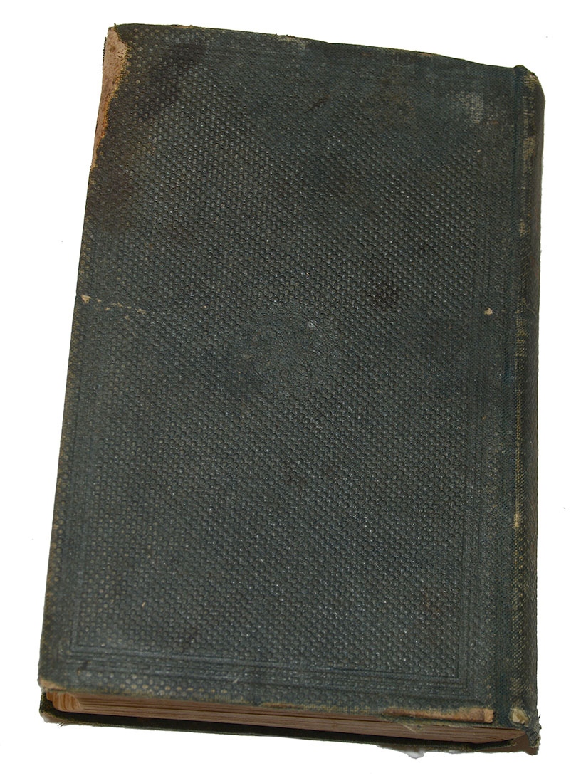 Image 7