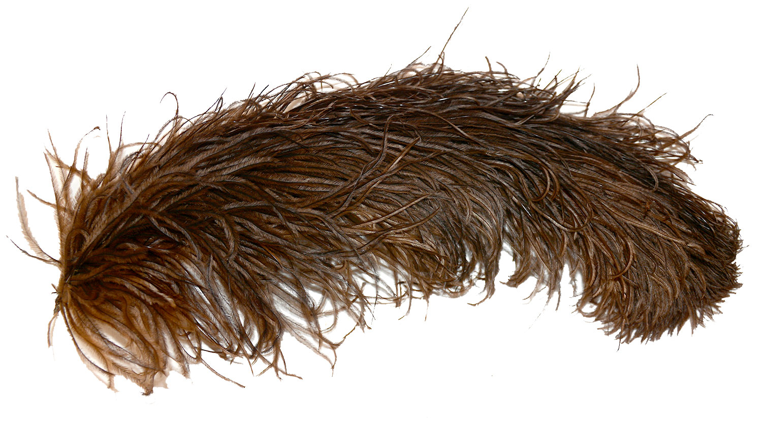  ORIGINAL “HARDEE HAT” OSTRICH PLUME