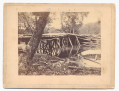 SMALL ALBUMEN PRINT OF A BRIDGE ACROSS THE CHICKAHOMINY BY BRADY