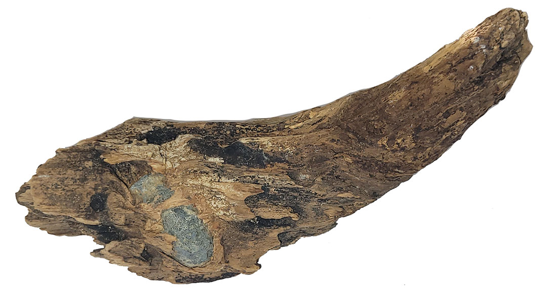 BULLET IN WOOD RECOVERED CULP’S HILL AREA BY DEAN THOMAS 