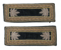DOUBLE BORDER LIEUTENANT COLONEL OF STAFF SHOULDER STRAPS 