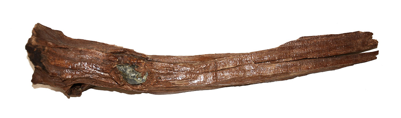 BULLET IN WOOD FROM SPOTSYLVANIA