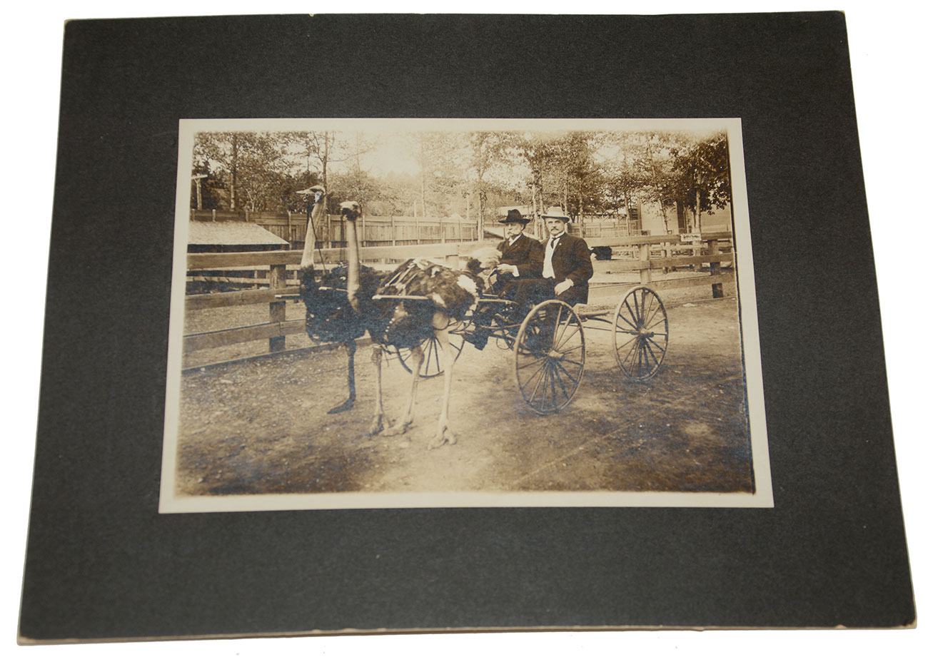 VERY RARE CABINET PHOTOGRAPH OF MOH RECIPIENT AND GAR COMMANDER WILMON BLACKMAR DRIVING OSTRICH TEAM