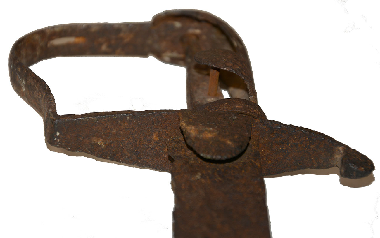 Image 4