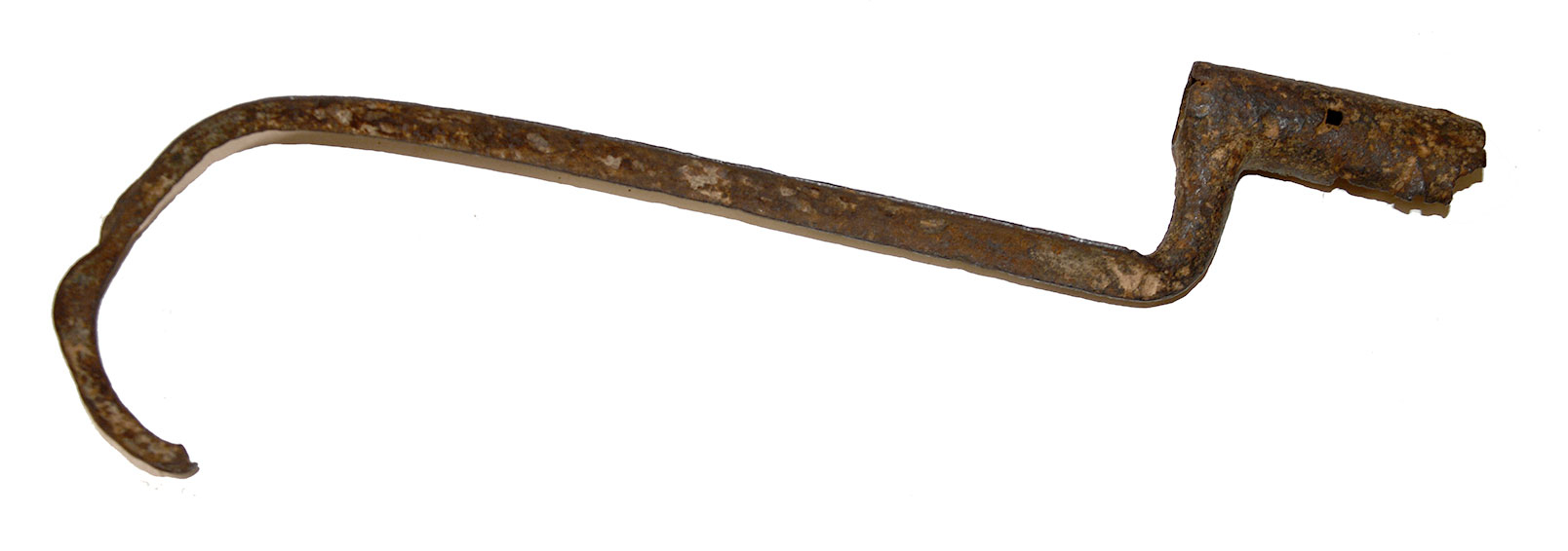 Image 4
