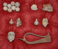 OTTOMAN RELICS FROM HUNGARY