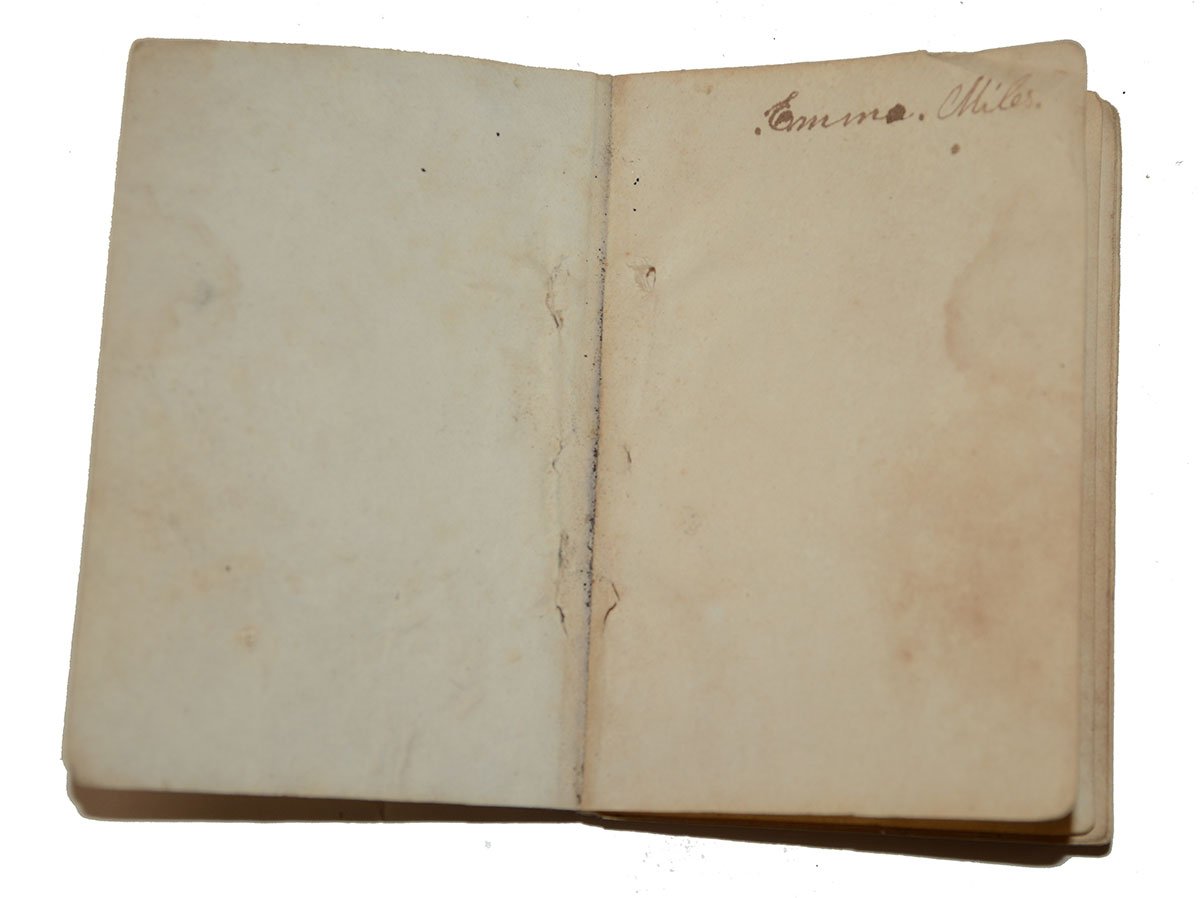 Image 3
