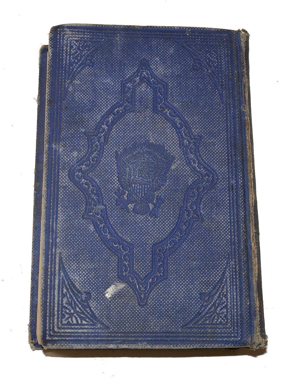 Image 7