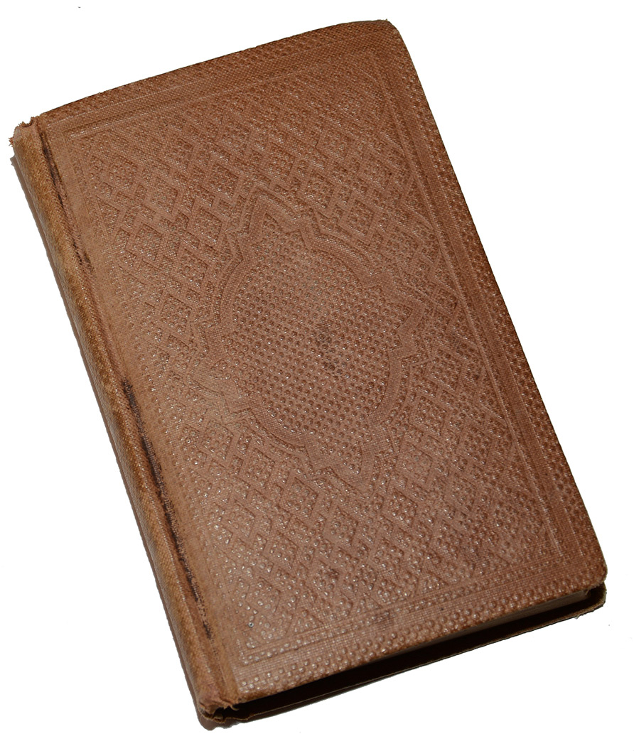 Image 4
