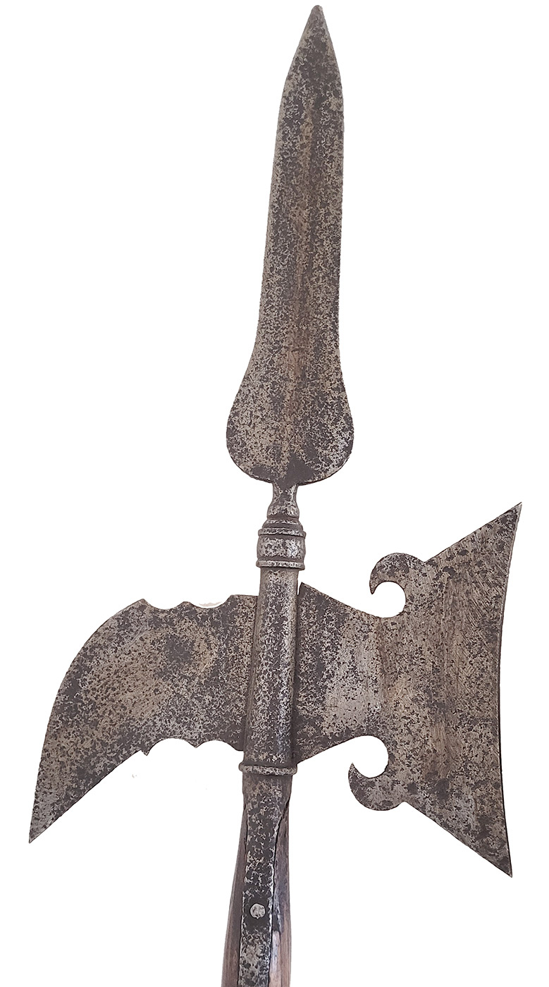 Image 4