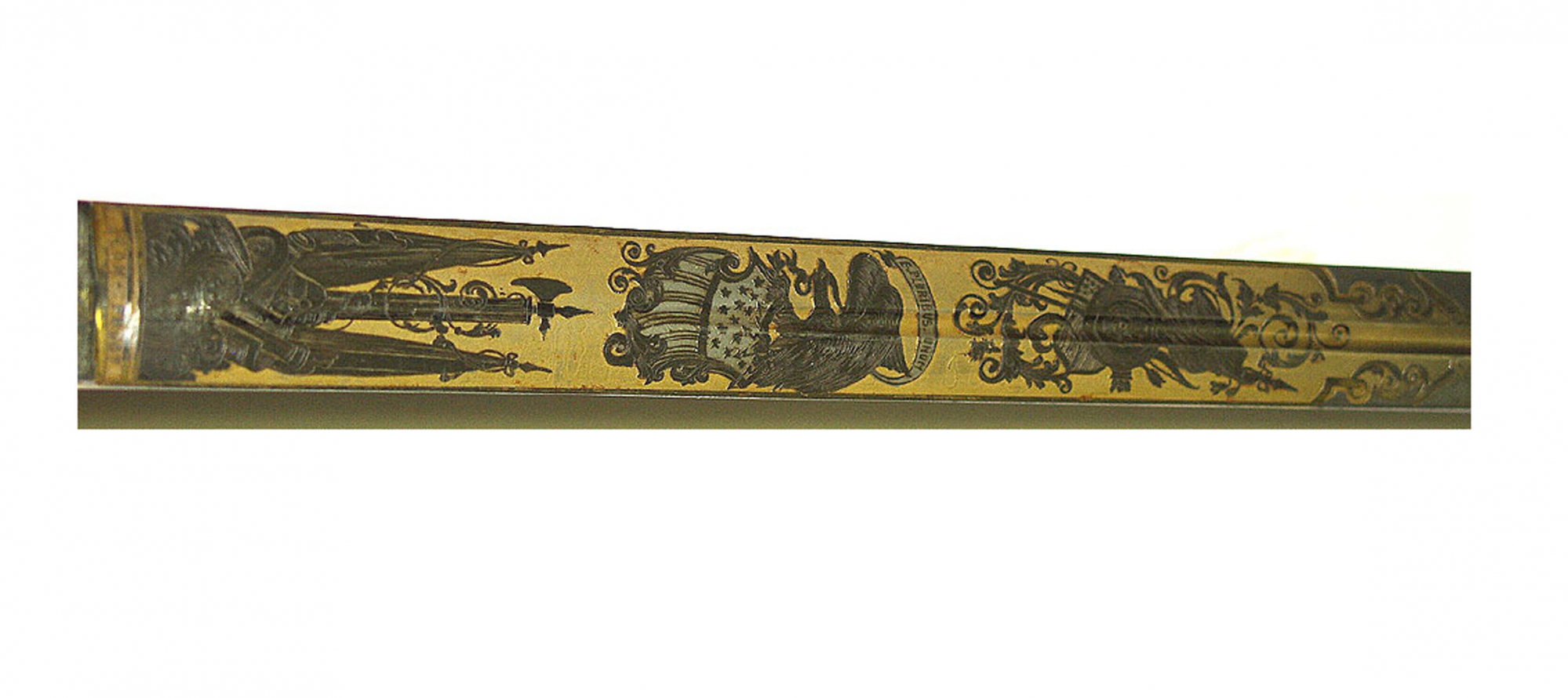 Image 8