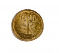 SOUTH CAROLINA VEST SIZE BUTTON