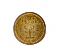 SOUTH CAROLINA VEST SIZE BUTTON