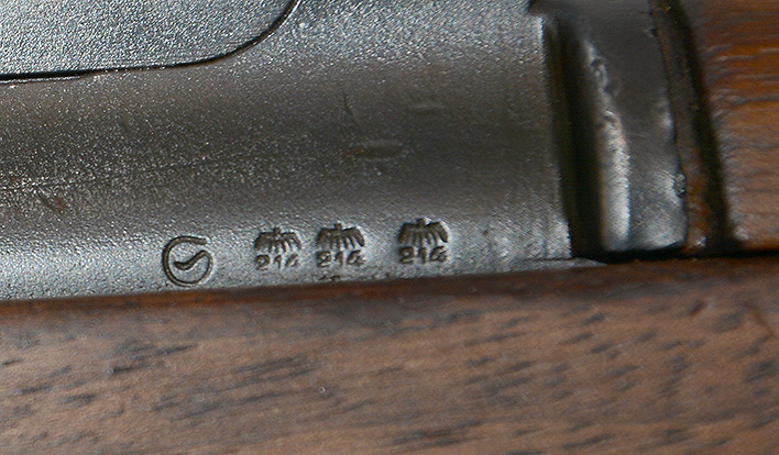Image 13