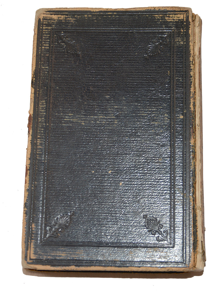 Image 5