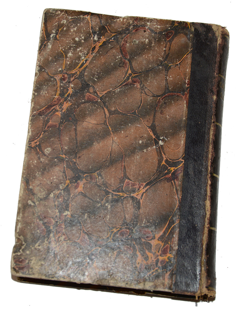 Image 5