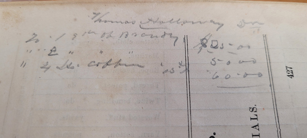 Image 28
