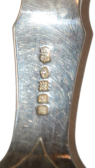 Image 8