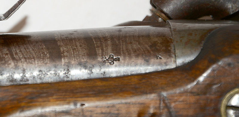 Image 19