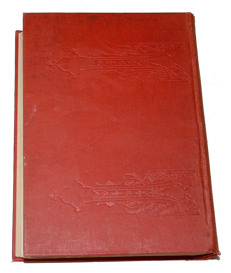 Image 4