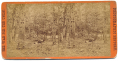 WARTIME GETTYSBURG STEREOVIEW OF CULPS HILL BATTLE DAMAGE – BRADY/ANTHONY