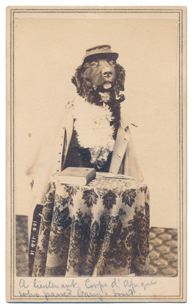 CDV OF DOG IN UNIFORM, 