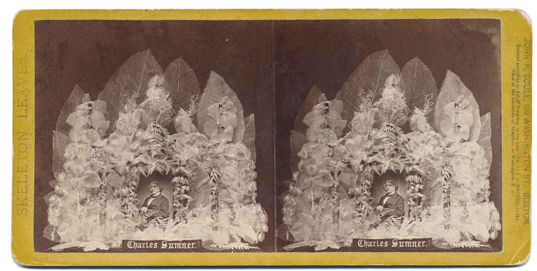 RARE MEMORIAL STEREOVIEW – CHARLES SUMNER PORTRAIT WITH SKELETON LEAVES, 1874