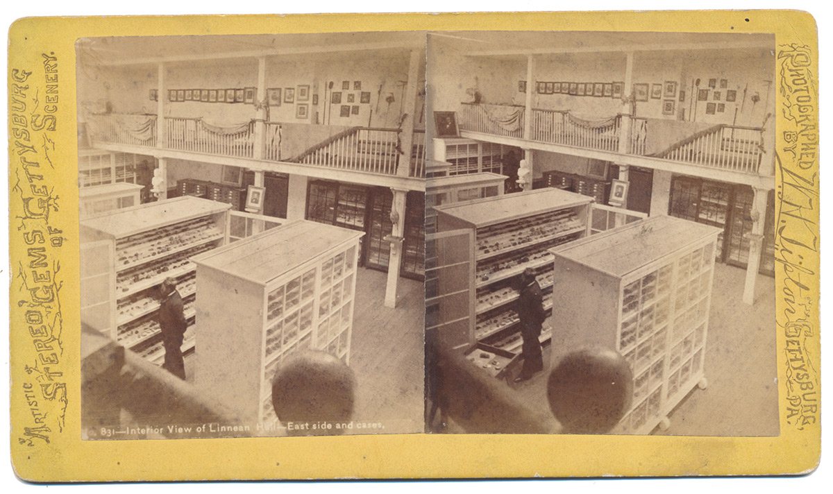 VERY RARE TIPTON STEREOVIEW CARD – INTERIOR OF LINNEAN HALL 