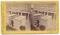 VERY RARE TIPTON STEREOVIEW CARD – INTERIOR OF LINNEAN HALL 