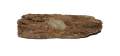 “BULLET IN WOOD” FROM CULP’S HILL, GETTYSBURG