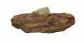 BULLET IN PIECE OF WOOD FROM CHANCELLORSVILLE 