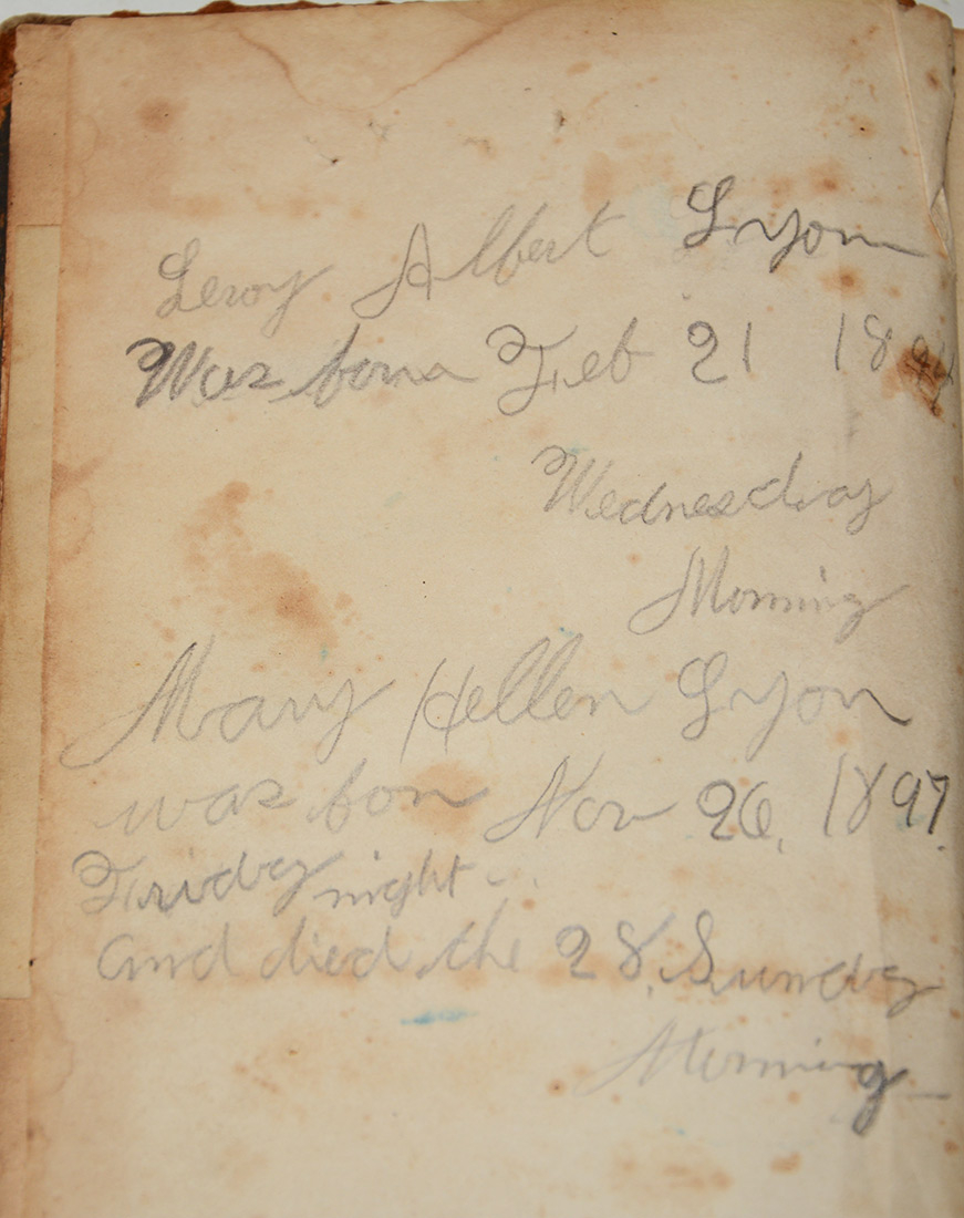 Image 7
