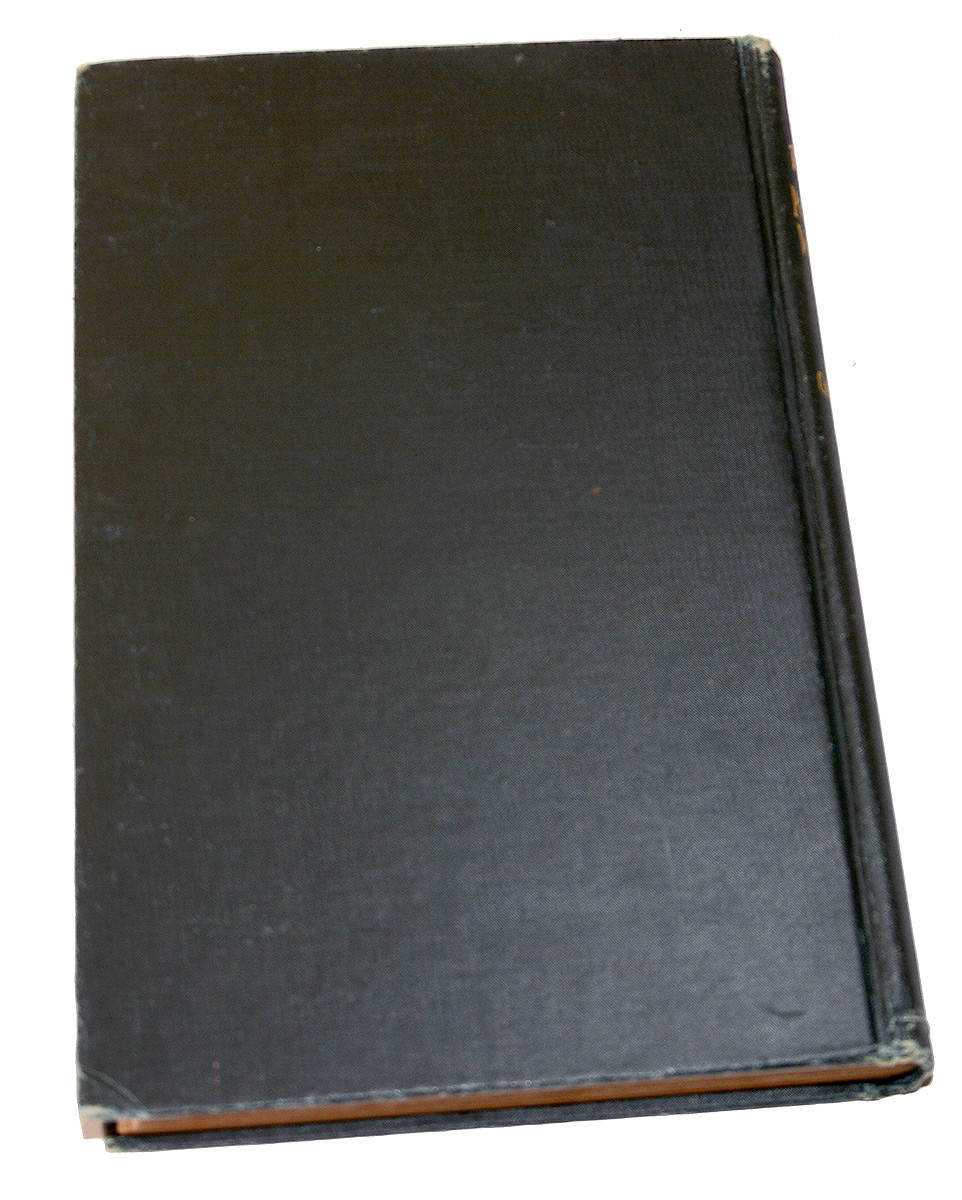 Image 6