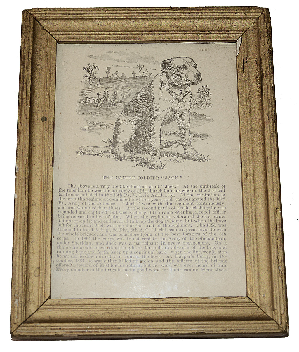 FRAMED SHEET ABOUT THE CANINE SOLDIER “JACK” 