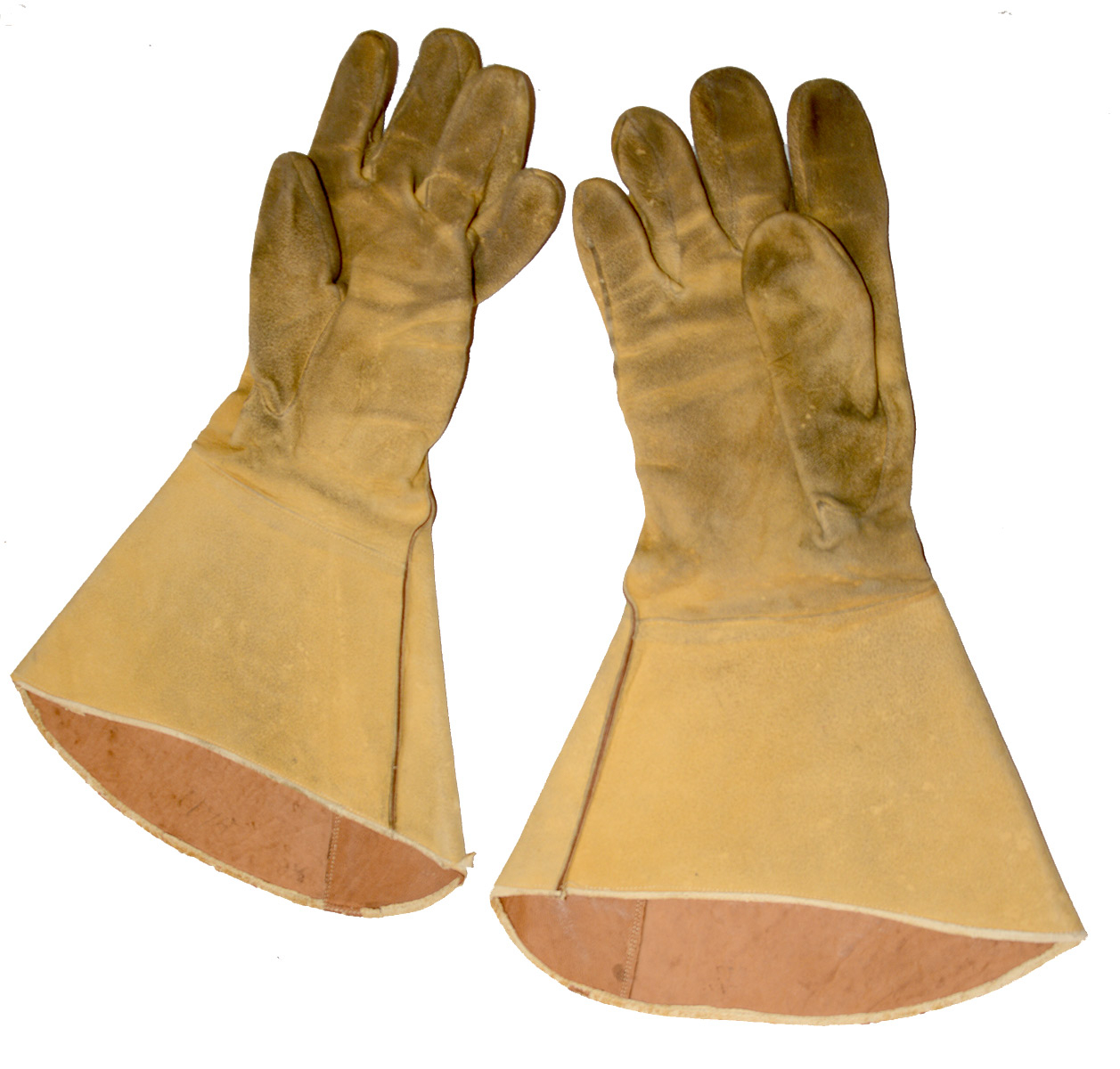 Image 3