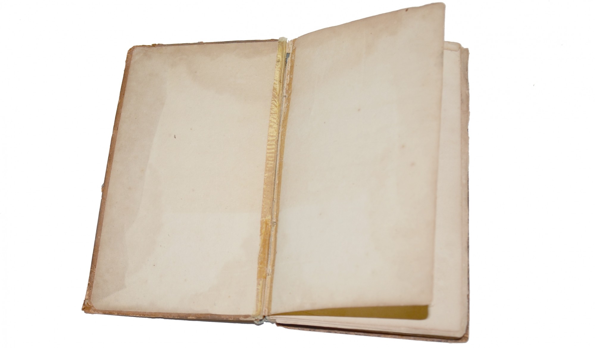 Image 3