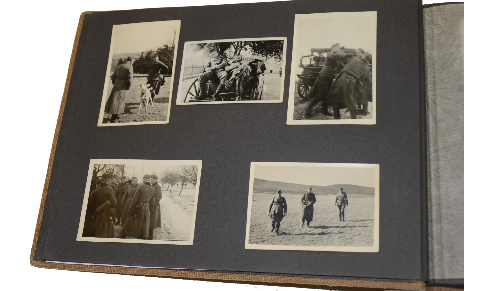 Image 3