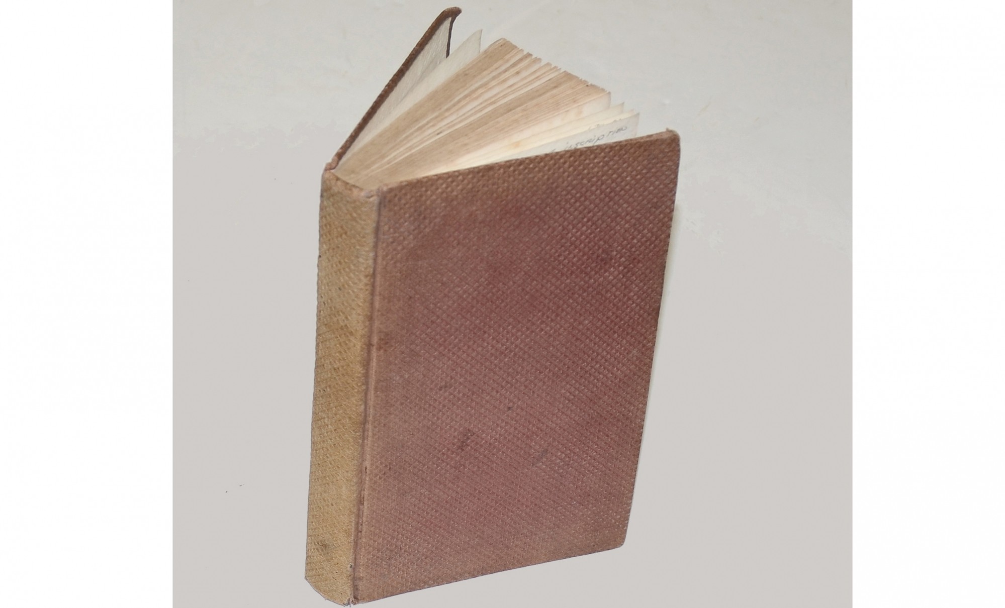 Image 4