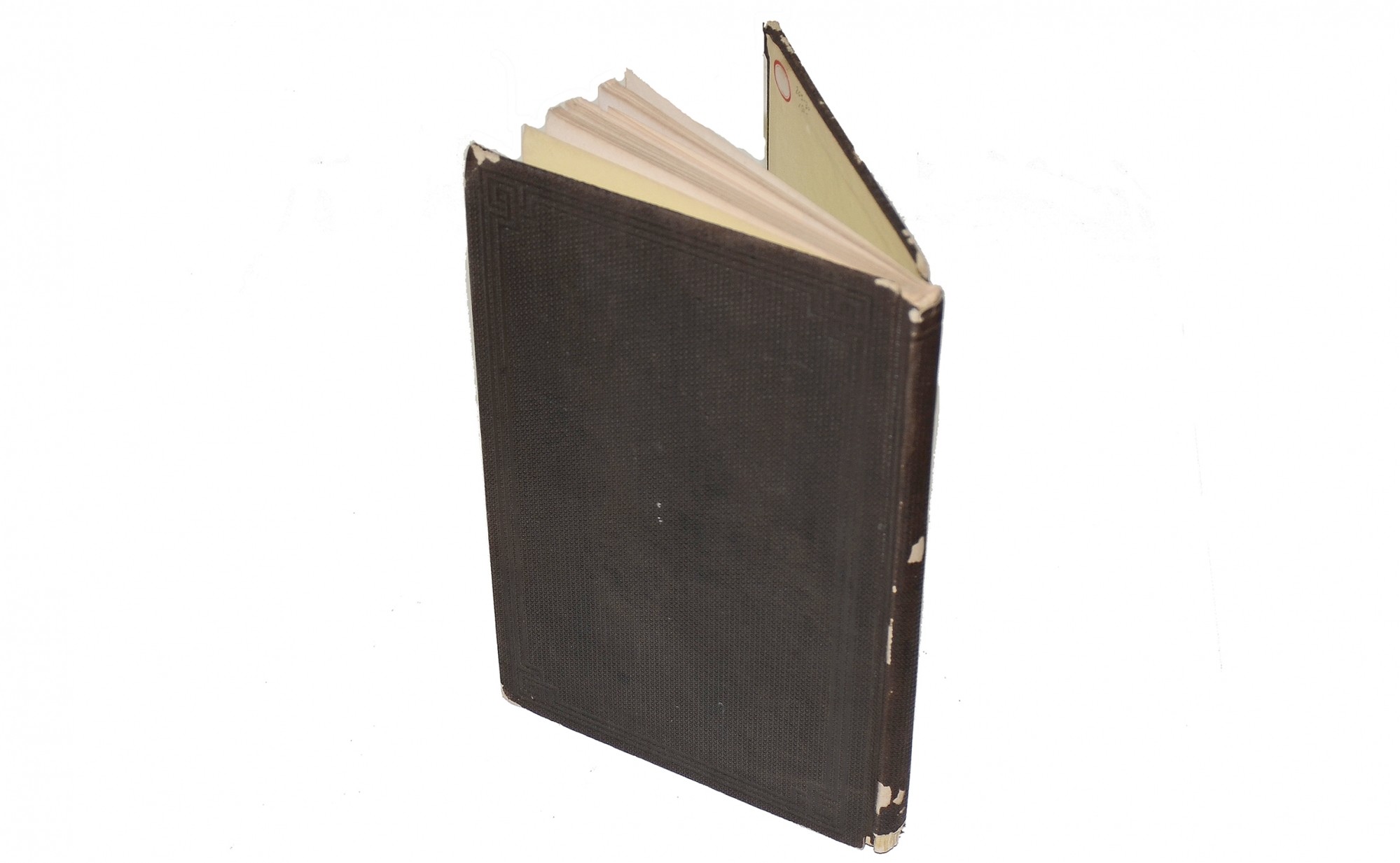 Image 2
