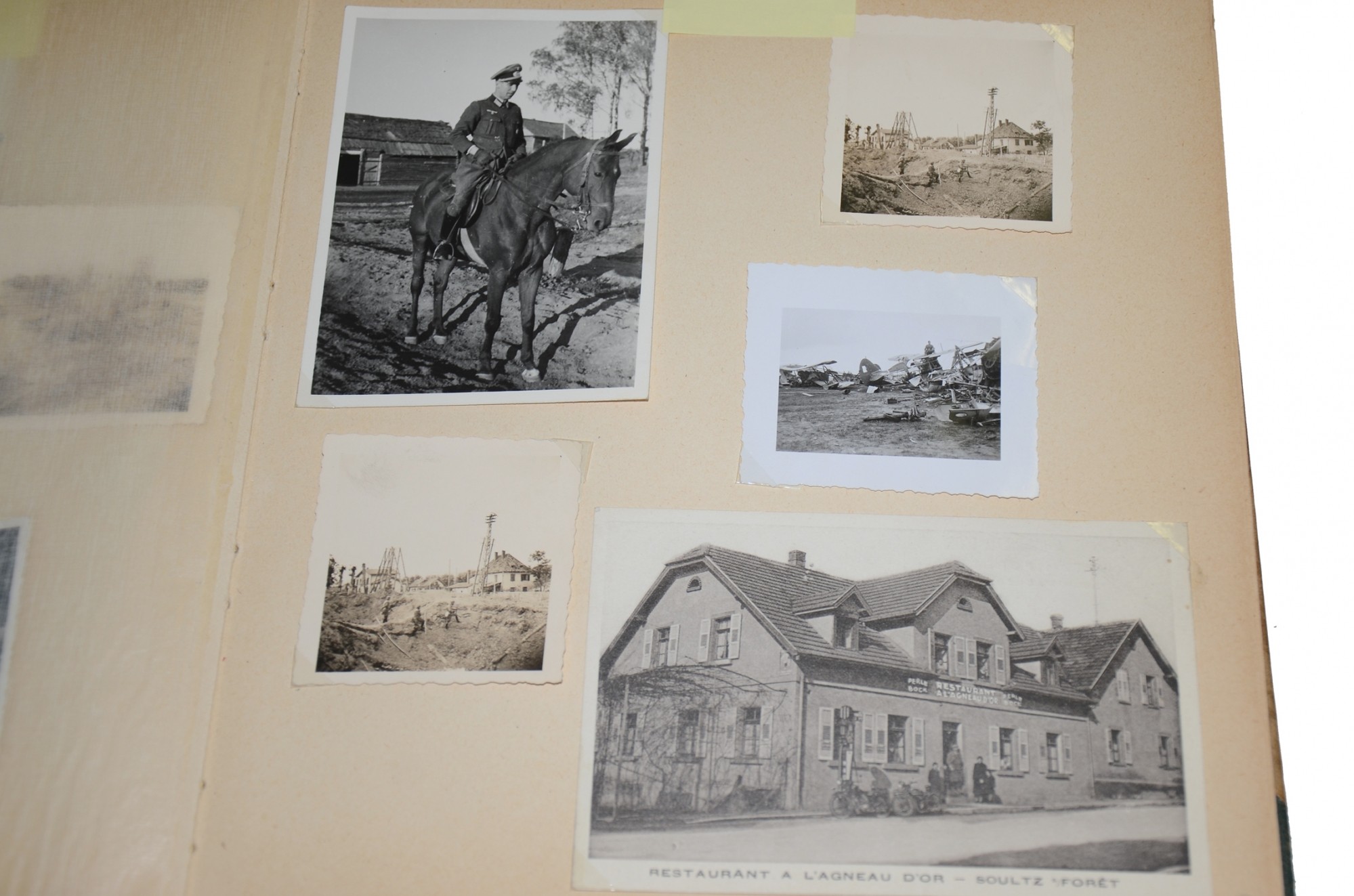 Image 4