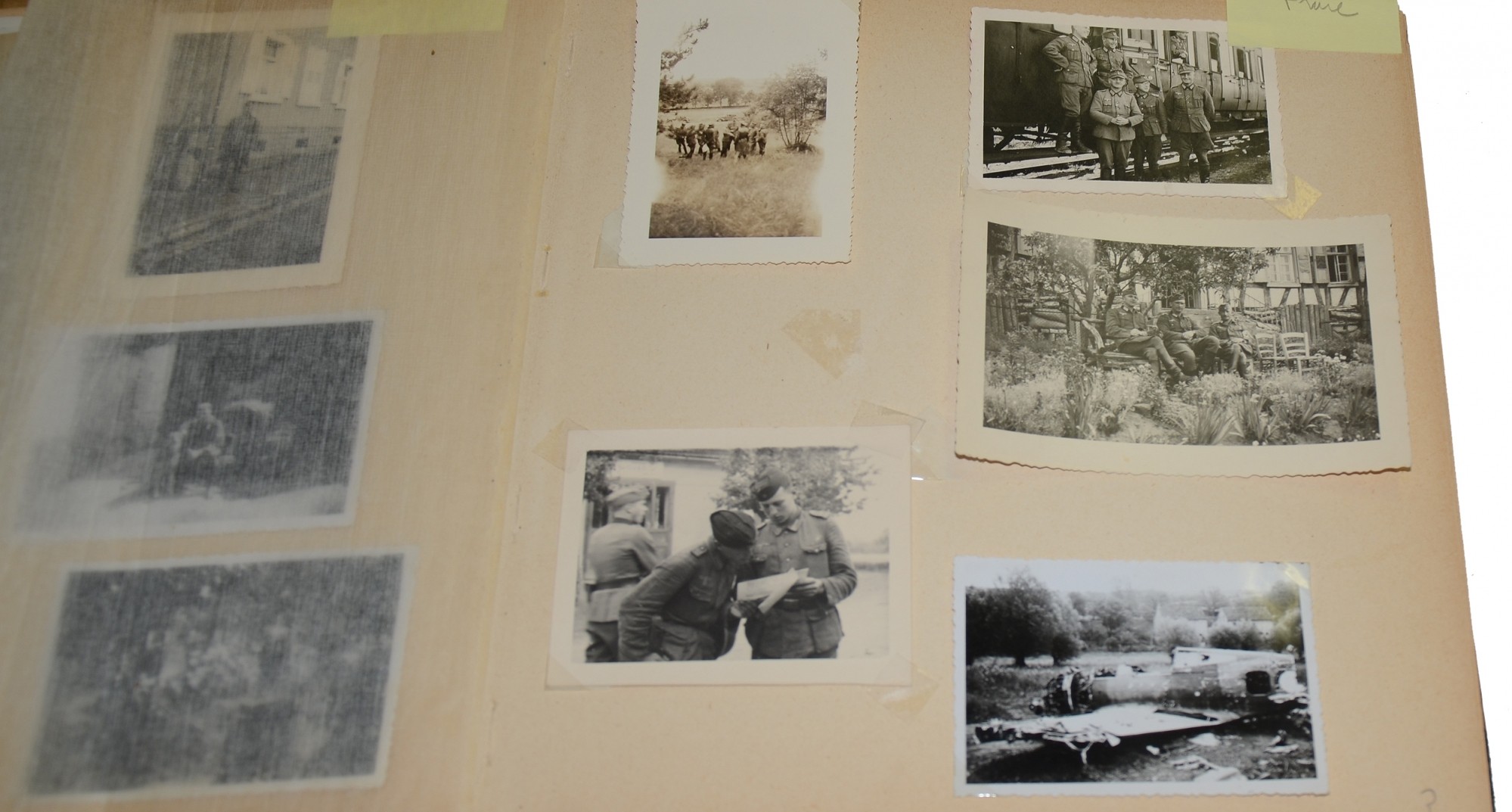 Image 3