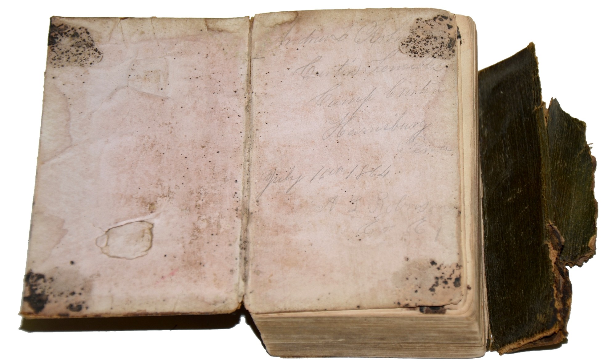 Image 3