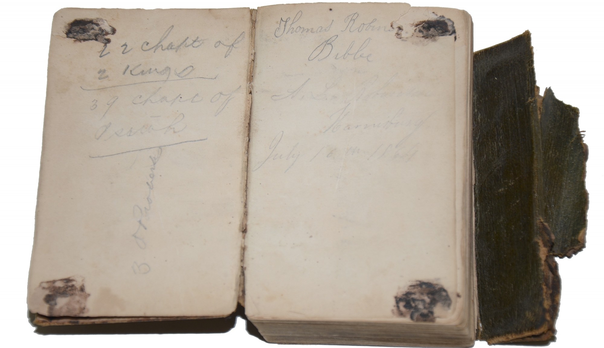 Image 4