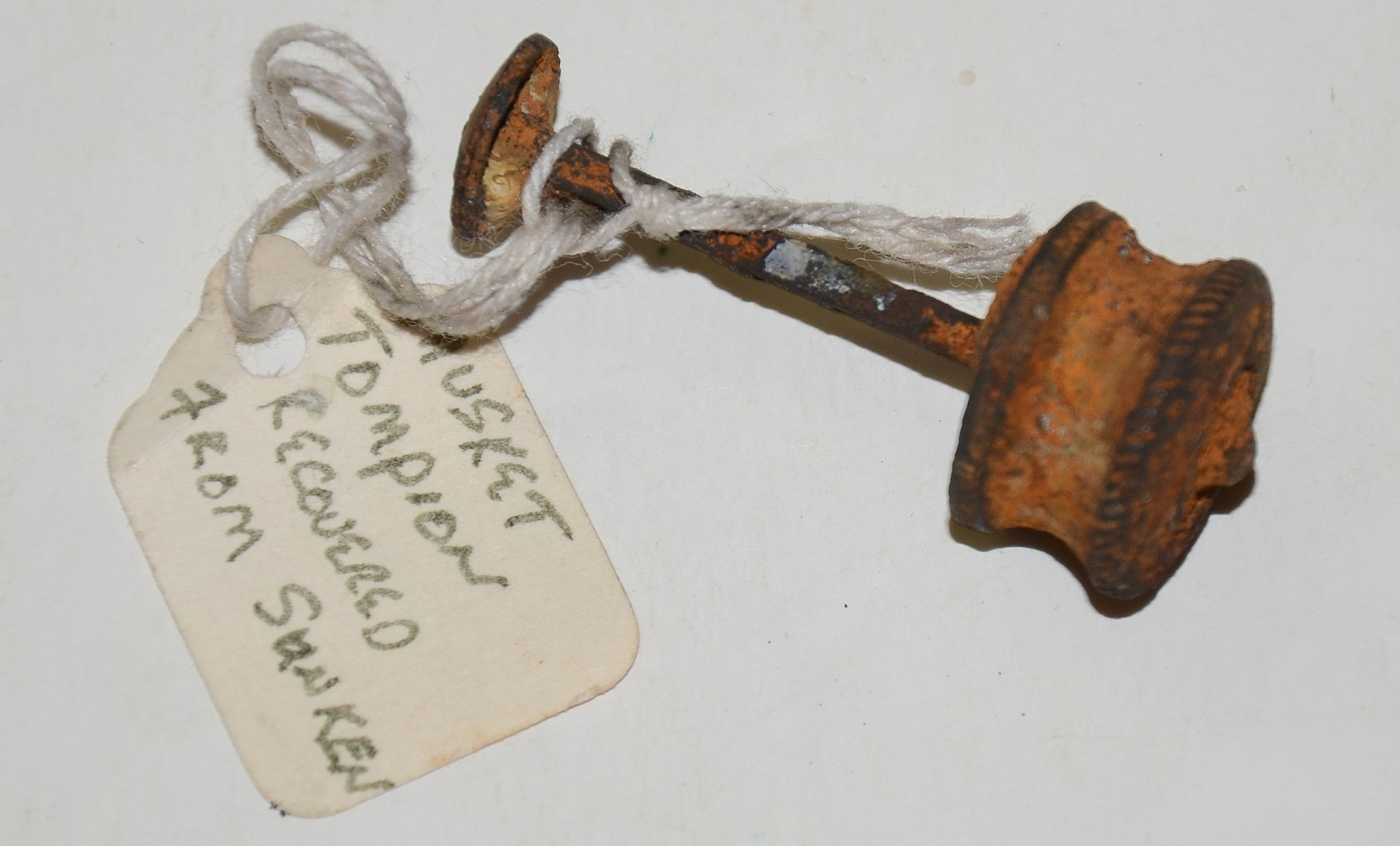 ENFIELD MUSKET TOMPION FROM THE BLOCKADE RUNNER MODERN GREECE — Horse