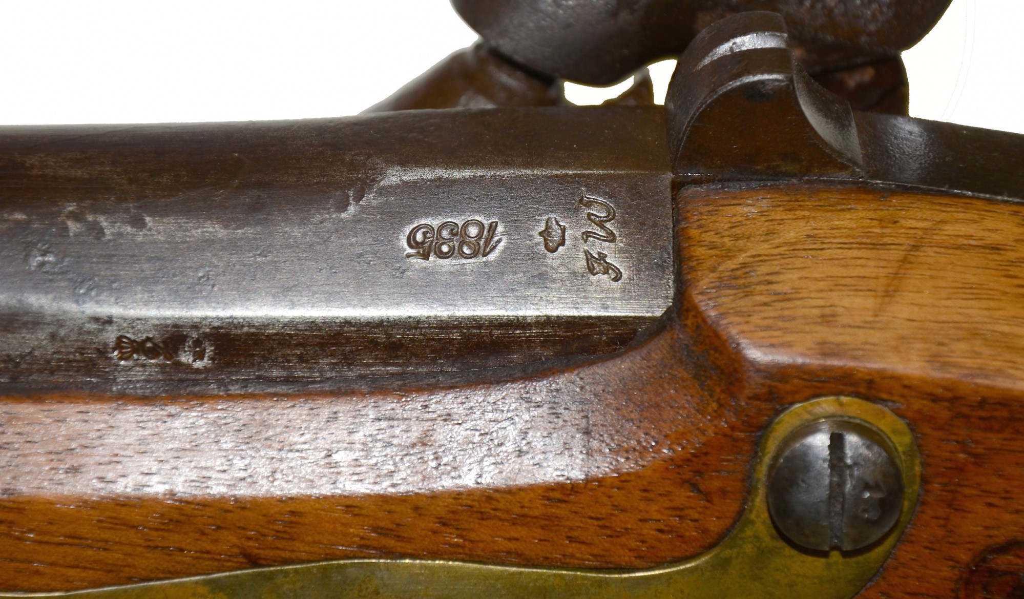 Image 8